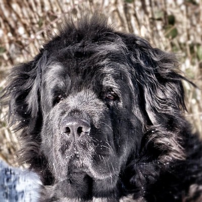 JunaPortraitNeige_Snapseed