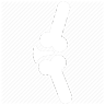 Patella